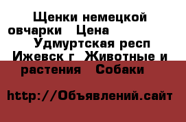 Щенки немецкой овчарки › Цена ­ 10000-12000 - Удмуртская респ., Ижевск г. Животные и растения » Собаки   